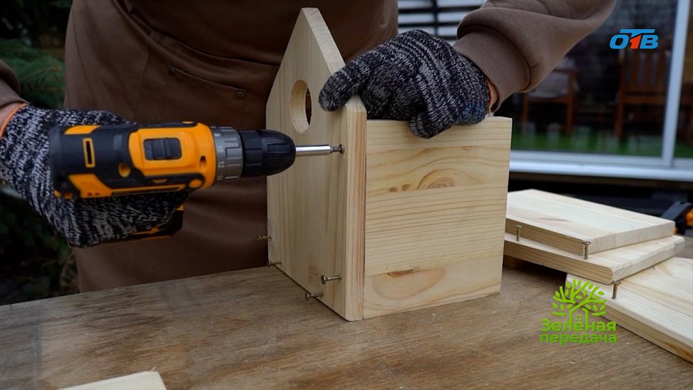 Домик для пернатых: привлекаем полезных птиц в сад