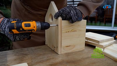 Домик для пернатых: привлекаем полезных птиц в сад