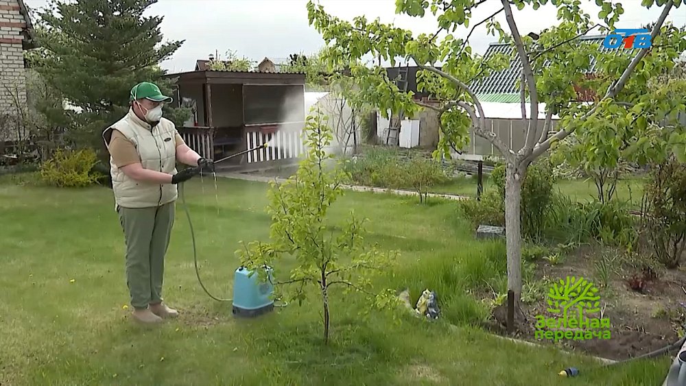 Биозащита сада: безопасное решение для здоровья растений