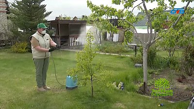 Биозащита сада: безопасное решение для здоровья растений