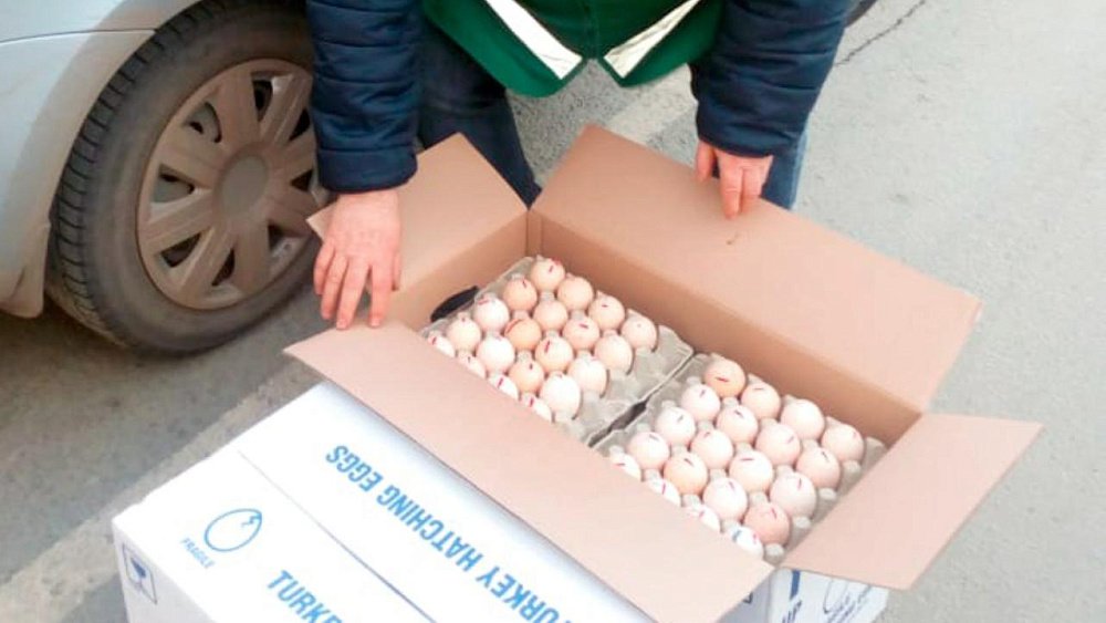 На границе с Казахстаном остановили партию некачественной еды