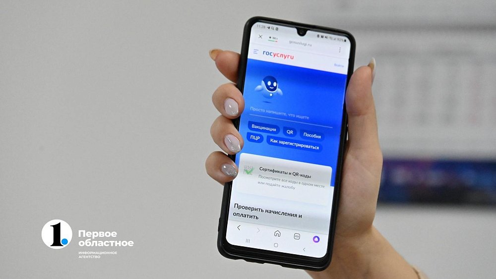 Волонтеры помогут южноуральцам проголосовать за объекты благоустройства с новым приложением