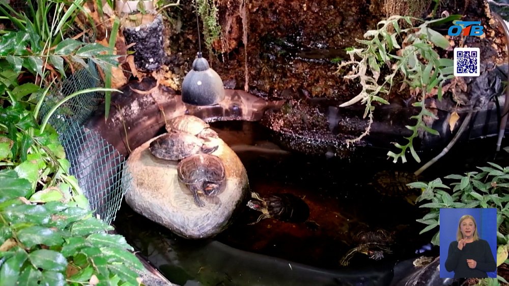 Окно в мир природы для юных челябинцев