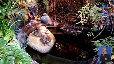 Окно в мир природы для юных челябинцев