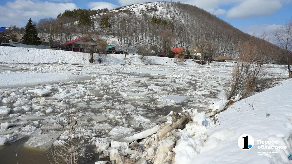 В Аше собственникам подтопленных садовых домов выплатят по 75 тысяч рублей