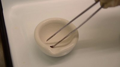 В Челябинской области активизировались клещи