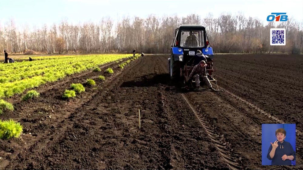 Челябинская область расширяет лесные массивы