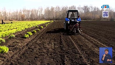 Челябинская область расширяет лесные массивы