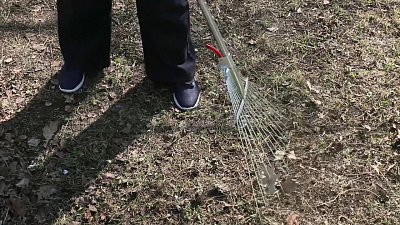 В Металлургическом районе Челябинска прошел субботник