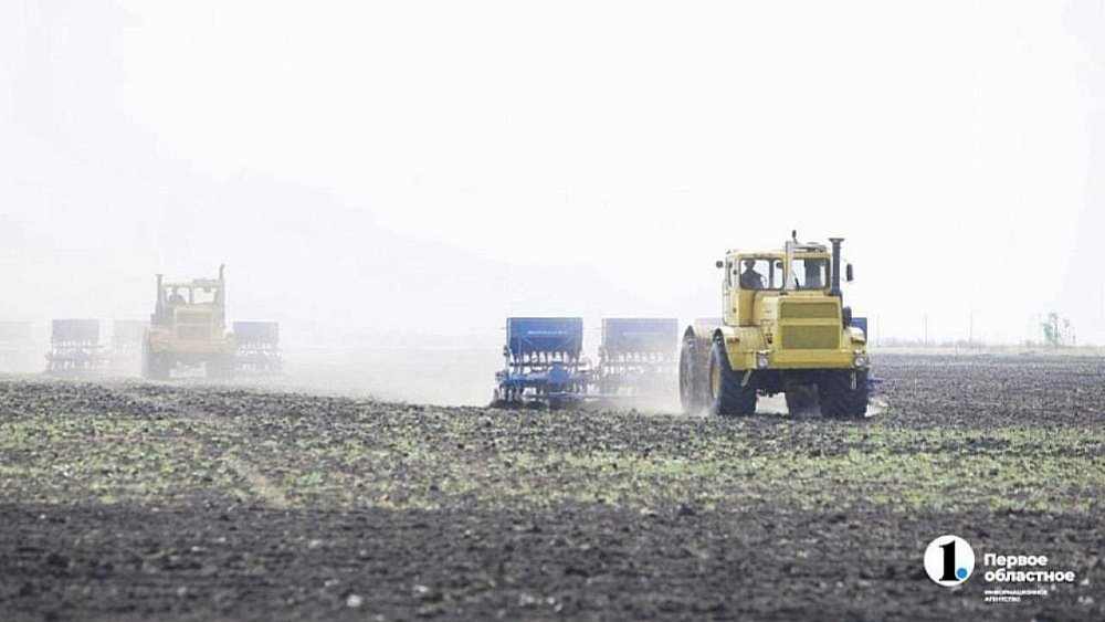 Синоптики назвали оптимальный срок начала посевной на Южном Урале