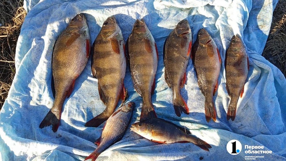 Со сходом льда южноуральцы открывают сезон рыбалки на воде