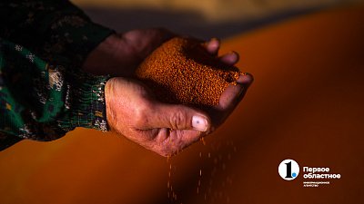 Аграрии Челябинской области увеличат экспорт зернобобовых и масличных культур