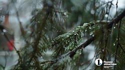 На Челябинск обрушился апрельский снегопад