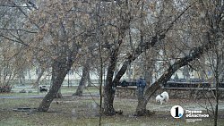 На Челябинск обрушился апрельский снегопад