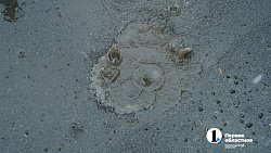 На Челябинск обрушился апрельский снегопад