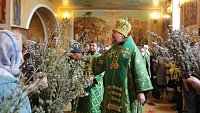 Митрополит Алексий совершит праздничную литургию в Вербное воскресенье