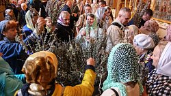 Митрополит Алексий совершит праздничную литургию в Вербное воскресенье