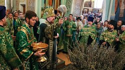 Митрополит Алексий совершит праздничную литургию в Вербное воскресенье