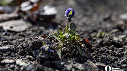 Монастыринг. Как себя чувствует новый вид туризма для Челябинска