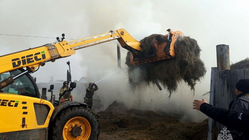 Пять животных погибло из‑за загоревшегося сена в Челябинской области