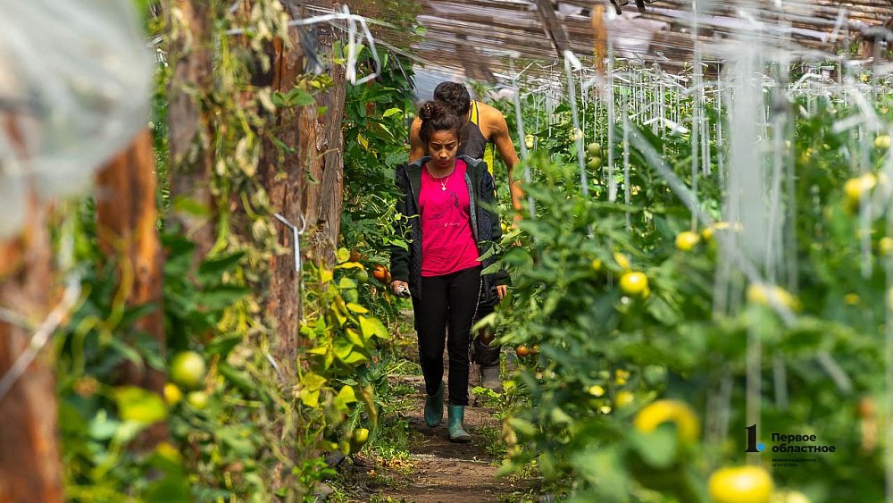 Более 300 человек выдворены из Челябинской области с начала года