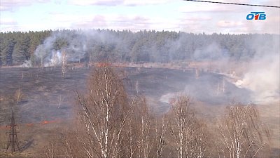 Почему весенние палы травы приводят к лесным пожарам?