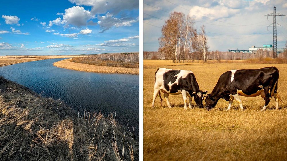 Пробуждение природы Челябинской области показал фотограф из ЛНР