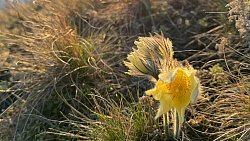 Пробуждение природы Челябинской области показал фотограф из ЛНР