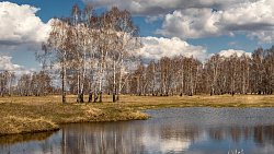 Пробуждение природы Челябинской области показал фотограф из ЛНР