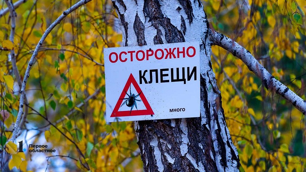 Как выбрать правильный полис от укуса клеща