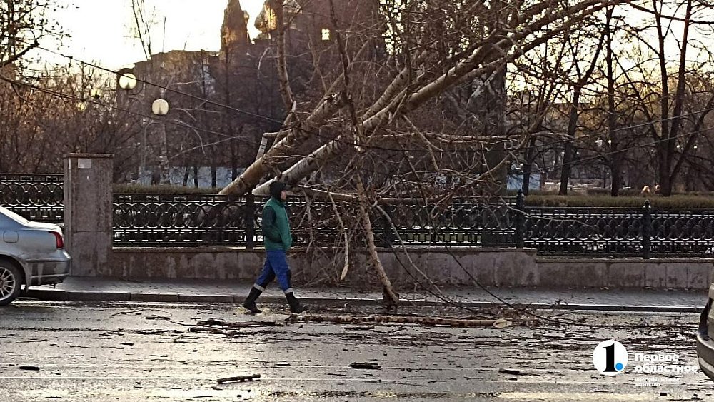 Ветер повалил деревья на Алом поле в Челябинске