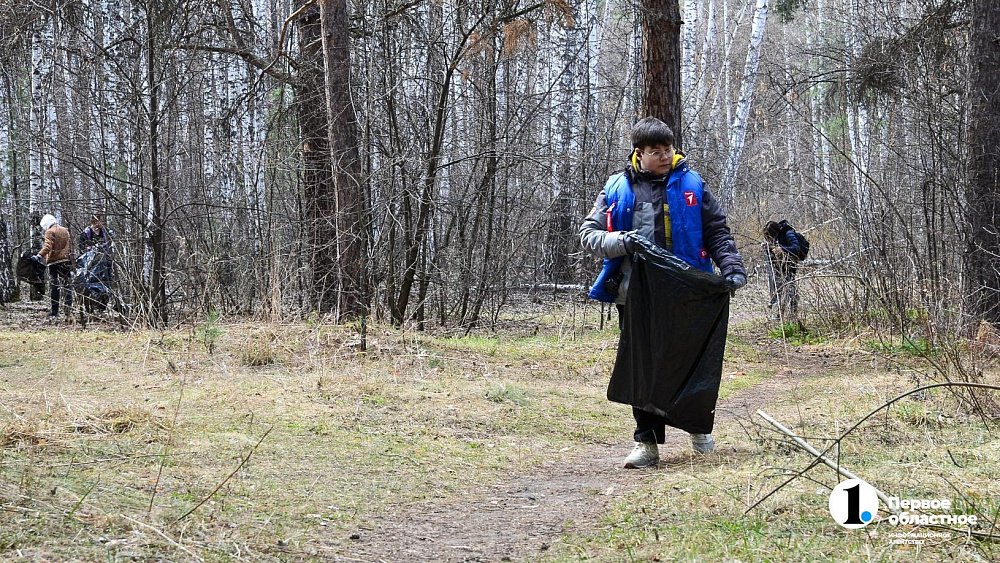 На субботнике в городском бору Челябинска впервые разделяют собранный мусор