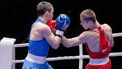 Челябинские боксеры завоевали семь медалей на Кубке Танкограда — 2025
