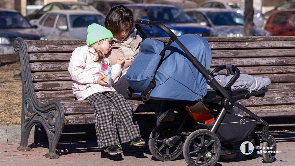 Чаще всего челябинцы тратят маткапитал на жилье и образование
