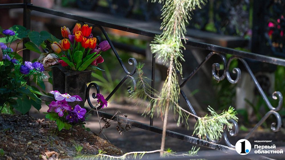 Территорию челябинских кладбищ обработали от клещей на 80%