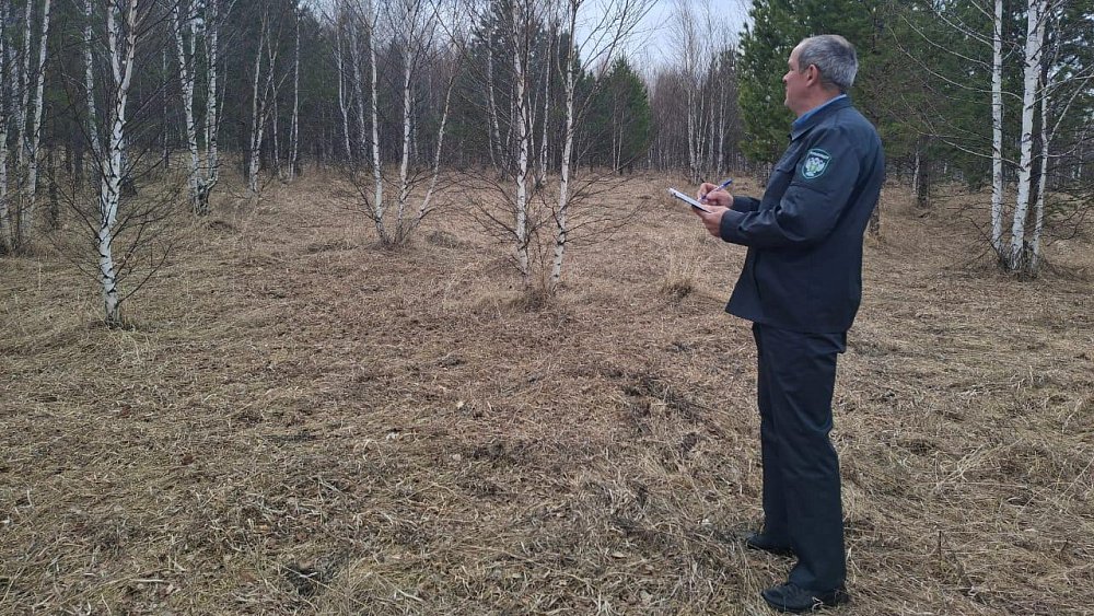 Владельца земли в Челябинской области накажут за заросший участок