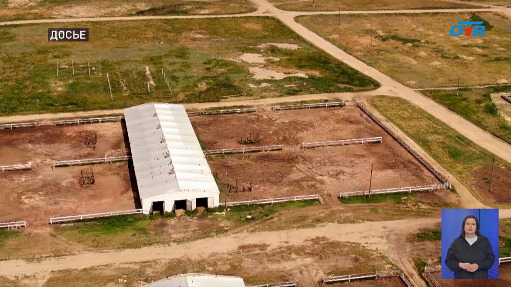 В регионе мониторят ситуацию с саранчой