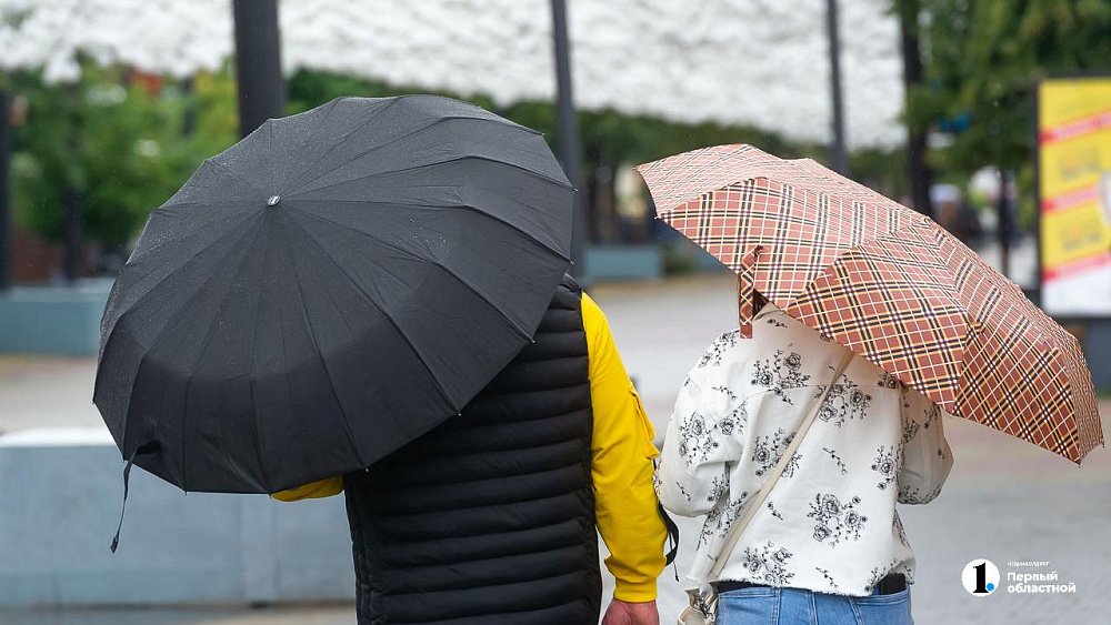 Дожди с грозами и сильный ветер обещают в Челябинской области 25 апреля