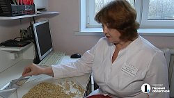 В челябинской лаборатории проверили тысячу образцов семян перед посевной‑2025