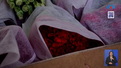 К Дню Победы в Челябинск привезли цветы