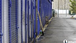 Собаки в госприюте под Челябинском мечтают не вернуться на улицу