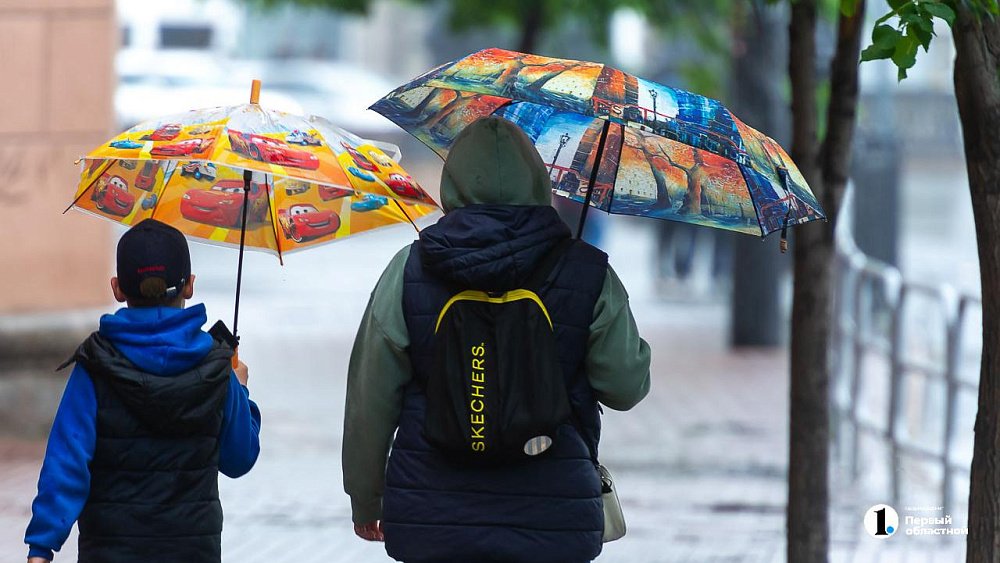 Дожди и сильный ветер ожидаются в Челябинской области 28 апреля