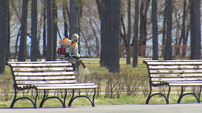 В Челябинской области обрабатывают парки и скверы от клещей