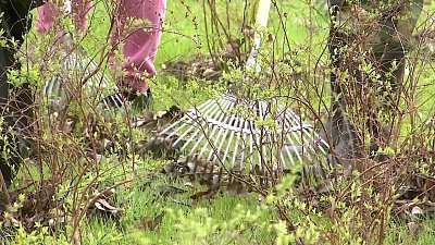 Жители Челябинска присоединились к акции Всероссийский субботник