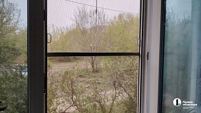 В Челябинске с появлением комаров вырос спрос на москитные сетки