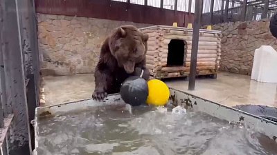 Челябинский зоопарк ждет гостей в майские праздники