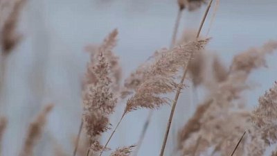 В Челябинской области ожидается потепление