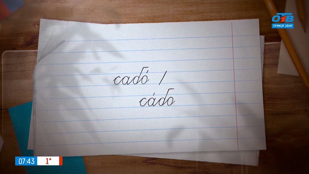 Выясняем, как связаны сабо и саботаж в рубрике «Простые правила»