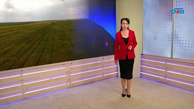 Аграриям Южного Урала рекомендовали обработку почвы от саранчи