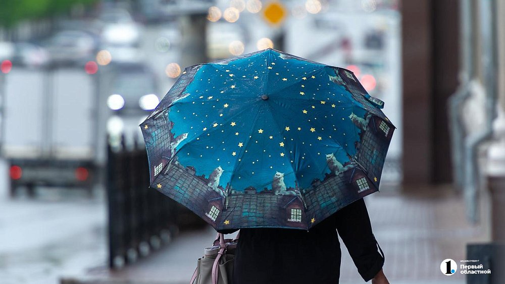 Дождливо и ветрено будет в Челябинской области 1 мая